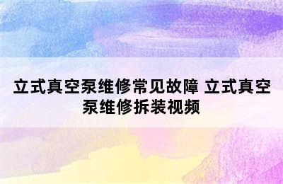 立式真空泵维修常见故障 立式真空泵维修拆装视频